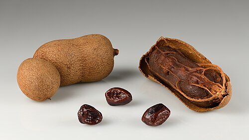 Hình minh họa từ Tamarind - Quả me