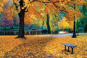 Hình minh họa từ Fall/Autumn - Mùa thu