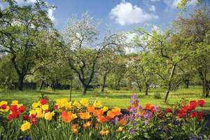 Hình minh họa từ Spring - Mùa xuân