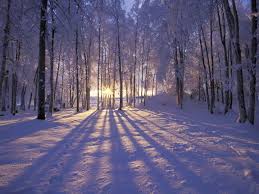 Hình minh họa từ Winter - Mùa đông