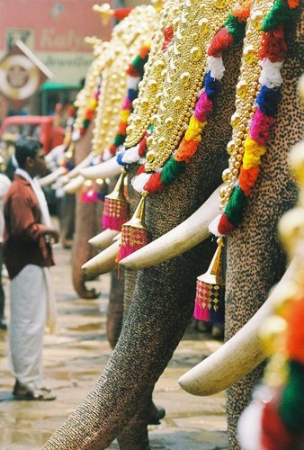 Hình minh họa từ festiveness - bầu không khí lễ hội vui tươi rộn ràng