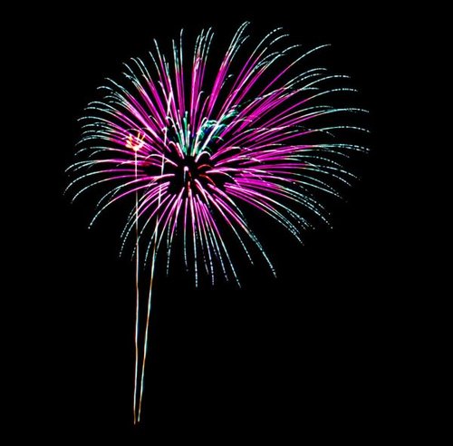 Hình minh họa từ Firework - Pháo hoa