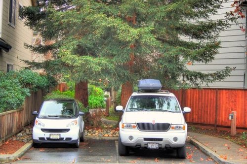 Hình minh họa từ downsizing - việc tinh gọn tinh giản biên chế