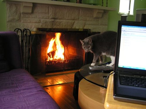 Hình minh họa từ telecommuting - làm việc từ xa qua mạng internet