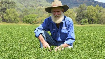 Hình minh họa từ Farmer - Người nông dân