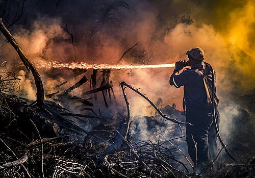 Hình minh họa từ firefighter - chiến sĩ lính cứu hỏa dũng cảm