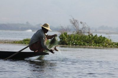 Hình minh họa từ Fisherman - Ngư dân
