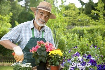 Hình minh họa từ Gardener - Người làm vườn