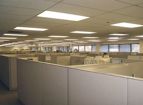 Hình minh họa từ cubicle - vách ngăn góc làm việc cá nhân
