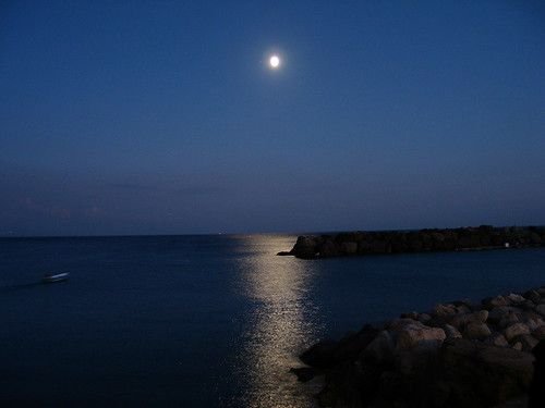 Hình minh họa từ moonlighting - việc làm thêm ngoài giờ kiếm thêm thu nhập