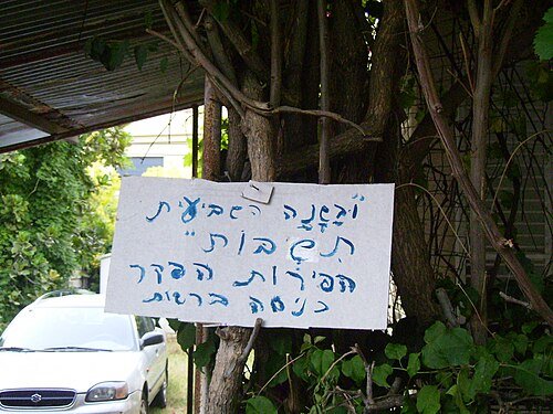 Hình minh họa từ sabbatical - kỳ nghỉ phép dài hạn bồi dưỡng chuyên môn