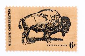 Hình minh họa từ Stamp - Con tem