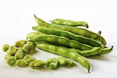 Imagen de Bean - Frijol