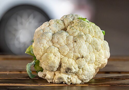 Hình minh họa từ Cauliflower - Súp lơ trắng