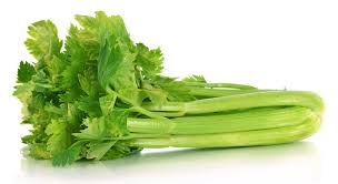 Hình minh họa từ Celery - Cần tây