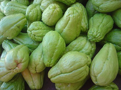 Hình minh họa từ chayote - quả su su