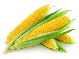 Hình minh họa từ Corn - Ngô