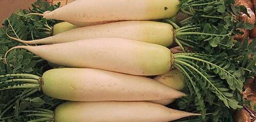 Hình minh họa từ daikon - củ cải trắng lớn