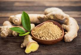 Hình minh họa từ Ginger - Gừng