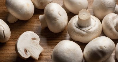 Hình minh họa từ Mushroom - Nấm