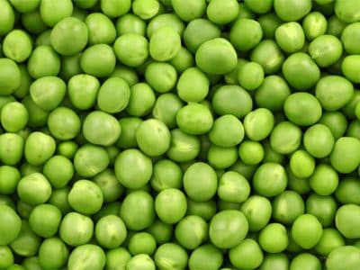 Hình minh họa từ Pea - Đậu (hạt)