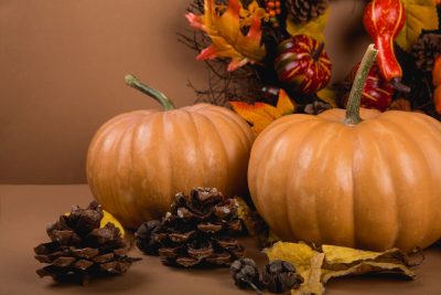 Hình minh họa từ Pumpkin - Bí ngô