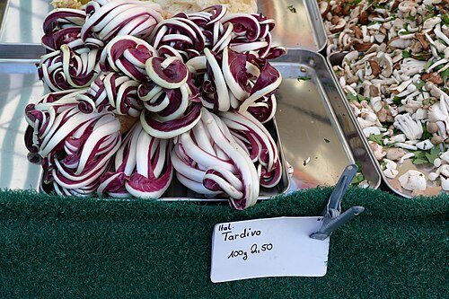 Hình minh họa từ radicchio - bắp cải tím radicchio
