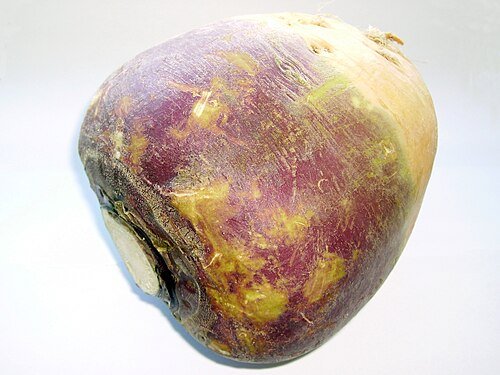 Hình minh họa từ rutabaga - củ cải Thụy Điển