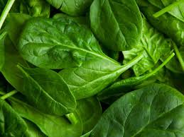 Hình minh họa từ Spinach - Rau bina