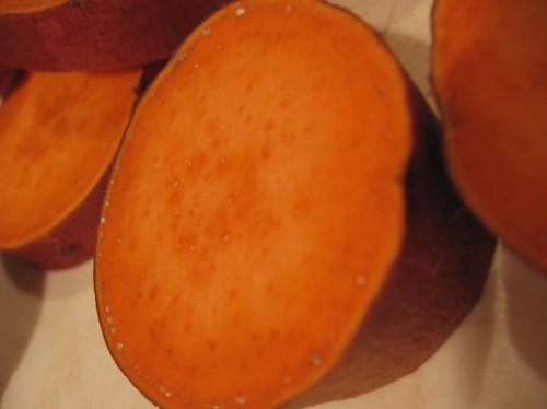 Hình minh họa từ Yam - Khoai mỡ, khoai từ