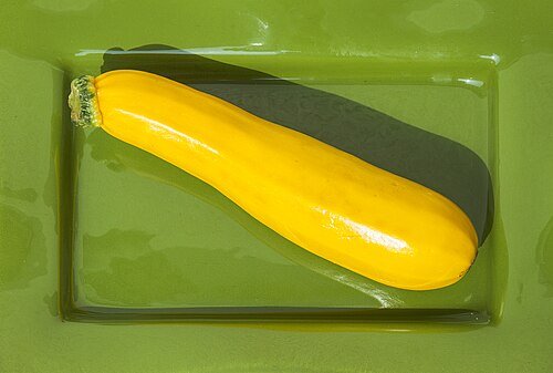 Hình minh họa từ Zucchini - Bí ngòi