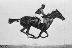 Hình minh họa từ gallop - phi nước đại như ngựa chiến