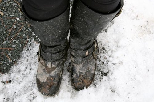 Hình minh họa từ traipse - lê bước đi lang thang mệt mỏi