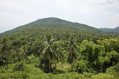 Hình minh họa từ abundantly - dồi dào ngập tràn thừa thãi