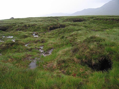 Hình minh họa từ underfoot - dưới chân bước đi