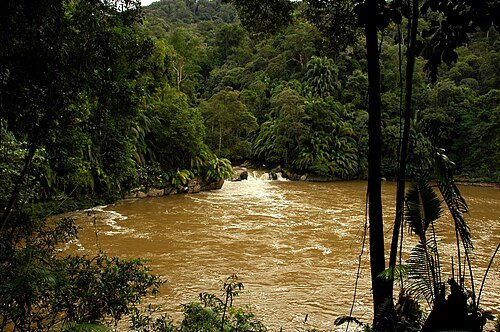 Hình minh họa từ upstream - ngược dòng nước về nguồn