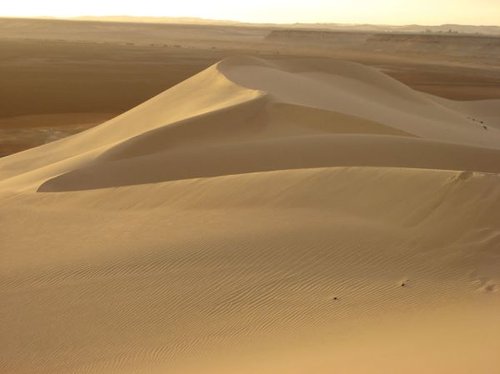 Hình minh họa từ dune - cồn cát