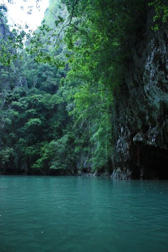 Hình minh họa từ lagoon - đầm phá