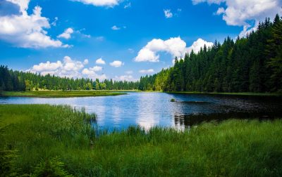 Imagen de Lake - Lago
