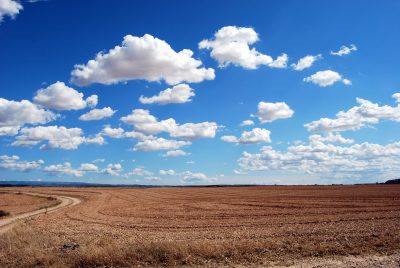 Imagen de Land - Tierra