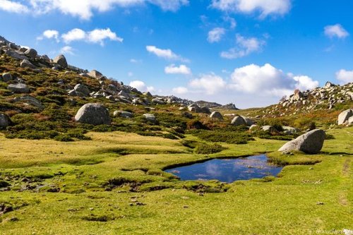 Hình minh họa từ plateau - cao nguyên