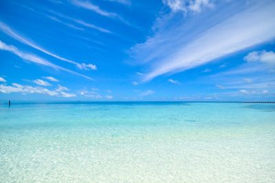Hình minh họa từ Sea - Biển