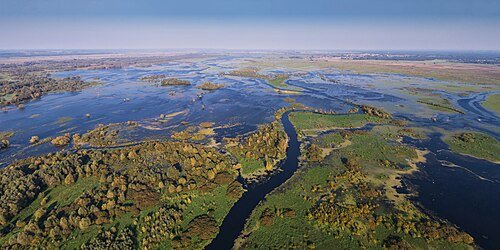 Hình minh họa từ wetland - vùng đất ngập nước
