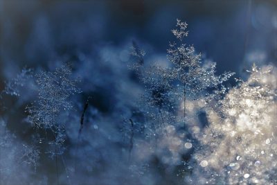 Hình minh họa từ Freezing - Rét run, lạnh cóng