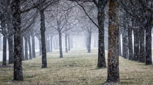 Hình minh họa từ hailstorm - trận mưa đá dồn dập