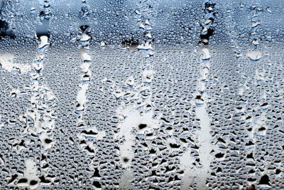 Hình minh họa từ Humid - Nóng ẩm, ẩm ướt