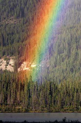 Hình minh họa từ rainbow - cầu vồng bảy sắc sau mưa
