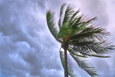 Imagen de Storm - Tormenta