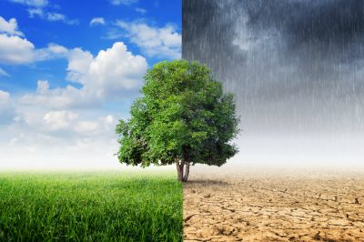 Imagen de Climate - Clima