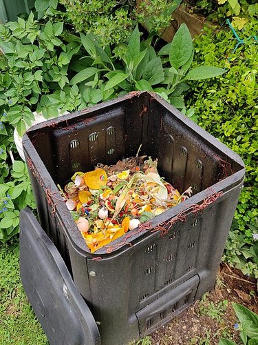 Hình minh họa từ compost - phân hữu cơ ủ hoai